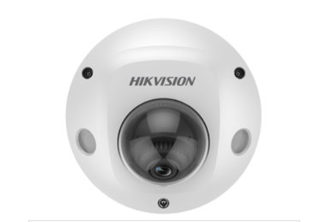 Hikvision 4 MP Acusense ingebouwde microfoon Vaste Mini Dome-netwerkcamera DS-2CD2546G2-IS