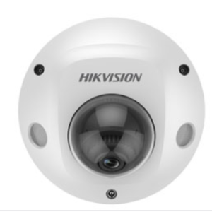 Hikvision 4 MP Acusense ingebouwde microfoon Vaste Mini Dome-netwerkcamera DS-2CD2546G2-IS
